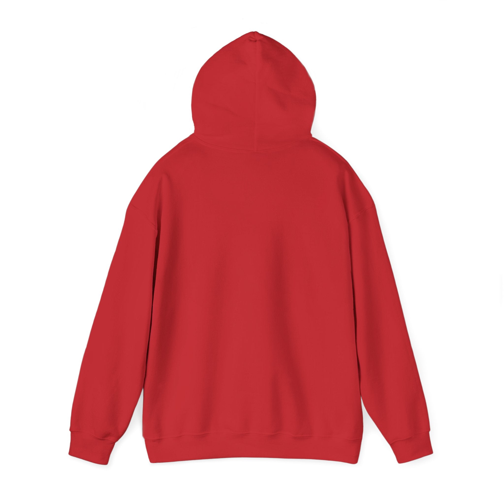 Soccer Hoodie - "My Drinking Team Has a Soccer Problem" Funny Soccer Player Pullover