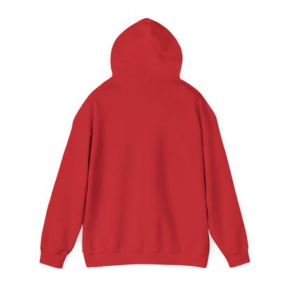 Soccer Hoodie - "My Drinking Team Has a Soccer Problem" Funny Soccer Player Pullover