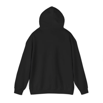 Soccer Hoodie - "My Drinking Team Has a Soccer Problem" Funny Soccer Player Pullover