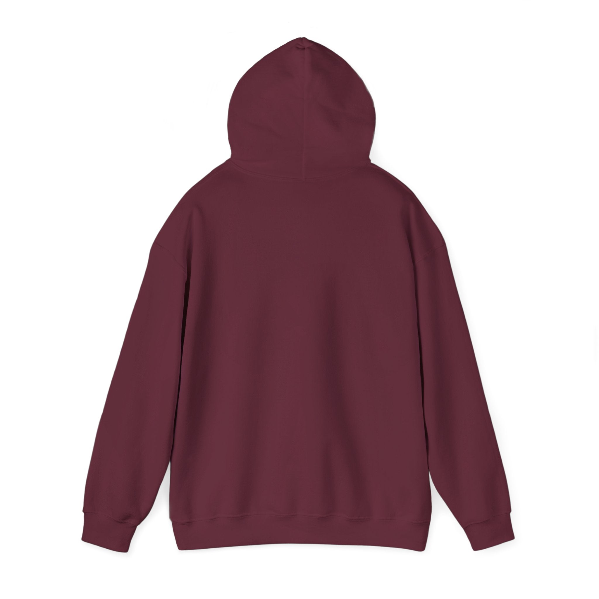 Soccer Hoodie - "My Drinking Team Has a Soccer Problem" Funny Soccer Player Pullover
