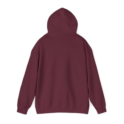 Soccer Hoodie - "My Drinking Team Has a Soccer Problem" Funny Soccer Player Pullover