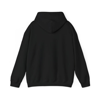 Soccer Hoodie - "My Drinking Team Has a Soccer Problem" Funny Soccer Player Pullover