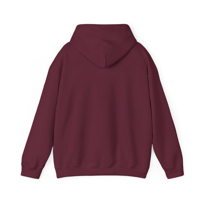 Soccer Hoodie - "My Drinking Team Has a Soccer Problem" Funny Soccer Player Pullover