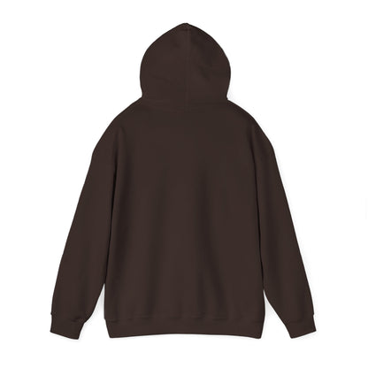 Soccer Hoodie - "My Drinking Team Has a Soccer Problem" Funny Soccer Player Pullover