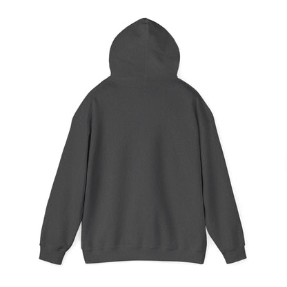 Soccer Hoodie - "My Drinking Team Has a Soccer Problem" Funny Soccer Player Pullover