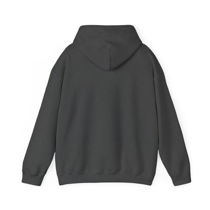 Soccer Hoodie - "My Drinking Team Has a Soccer Problem" Funny Soccer Player Pullover